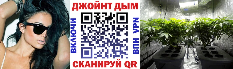 Бошки Шишки план Вяземский